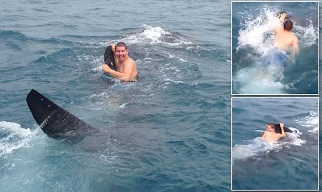 Remaja Nekat Tunggangi Hiu Paus Bagaikan Naik Kuda